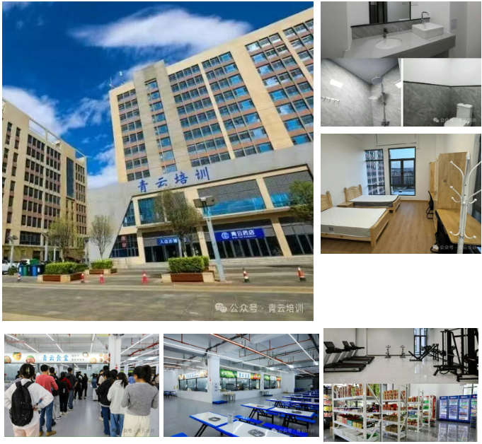 69771881450c6.png 1769412728097.png